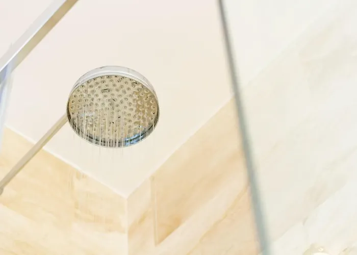 Royal Jono St. Κλαϊπέντα